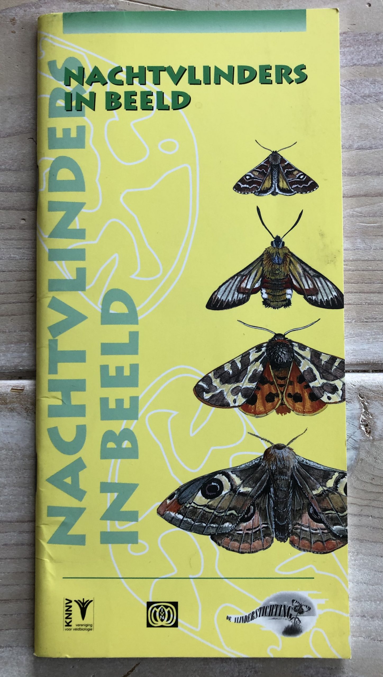 Nachtvlinders in beeld