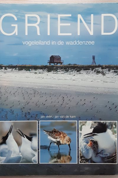 Griend