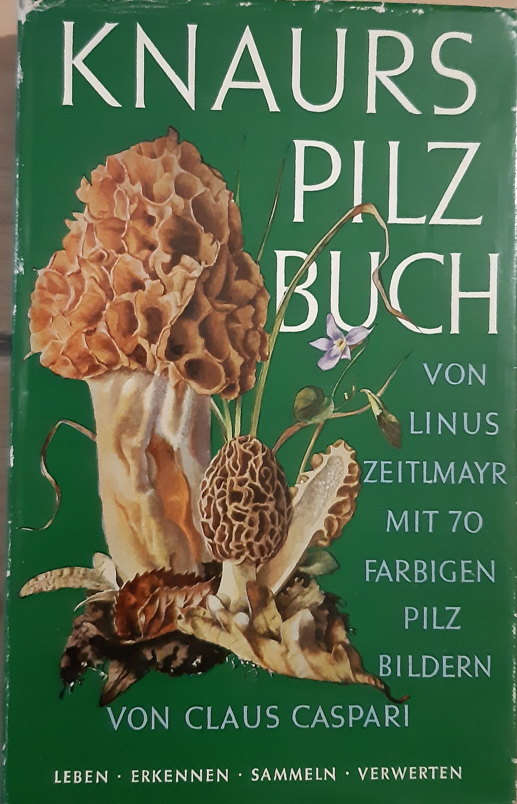 Knaurs Pilz Buch