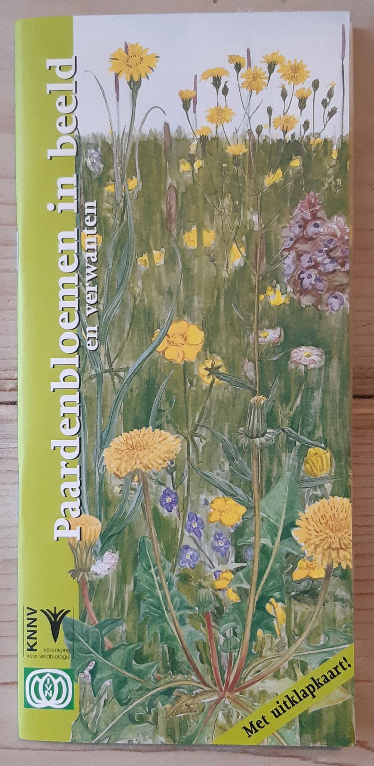 Paardenbloemen in beeld en verwanten