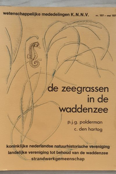 De zeegrassen in de Waddenzee - nr. 107 mei 1975