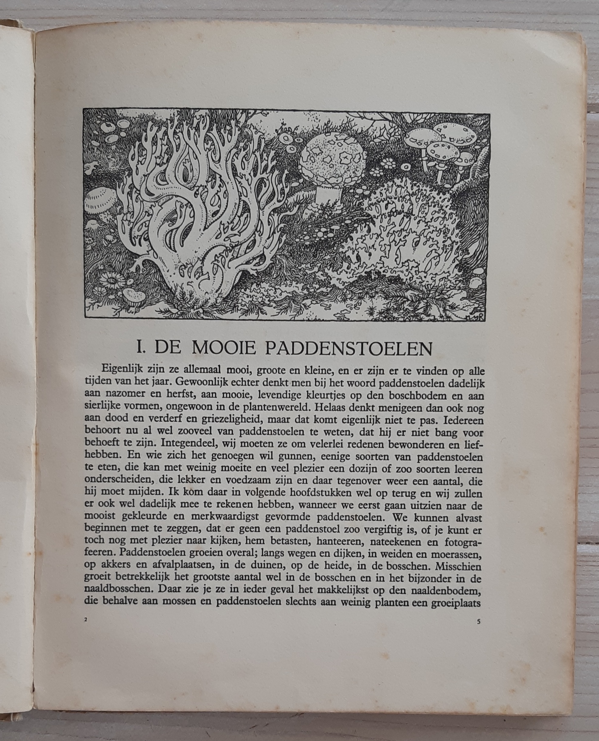 Paddenstoelen door Dr. Jac. P. Thijsse - Afbeelding 4
