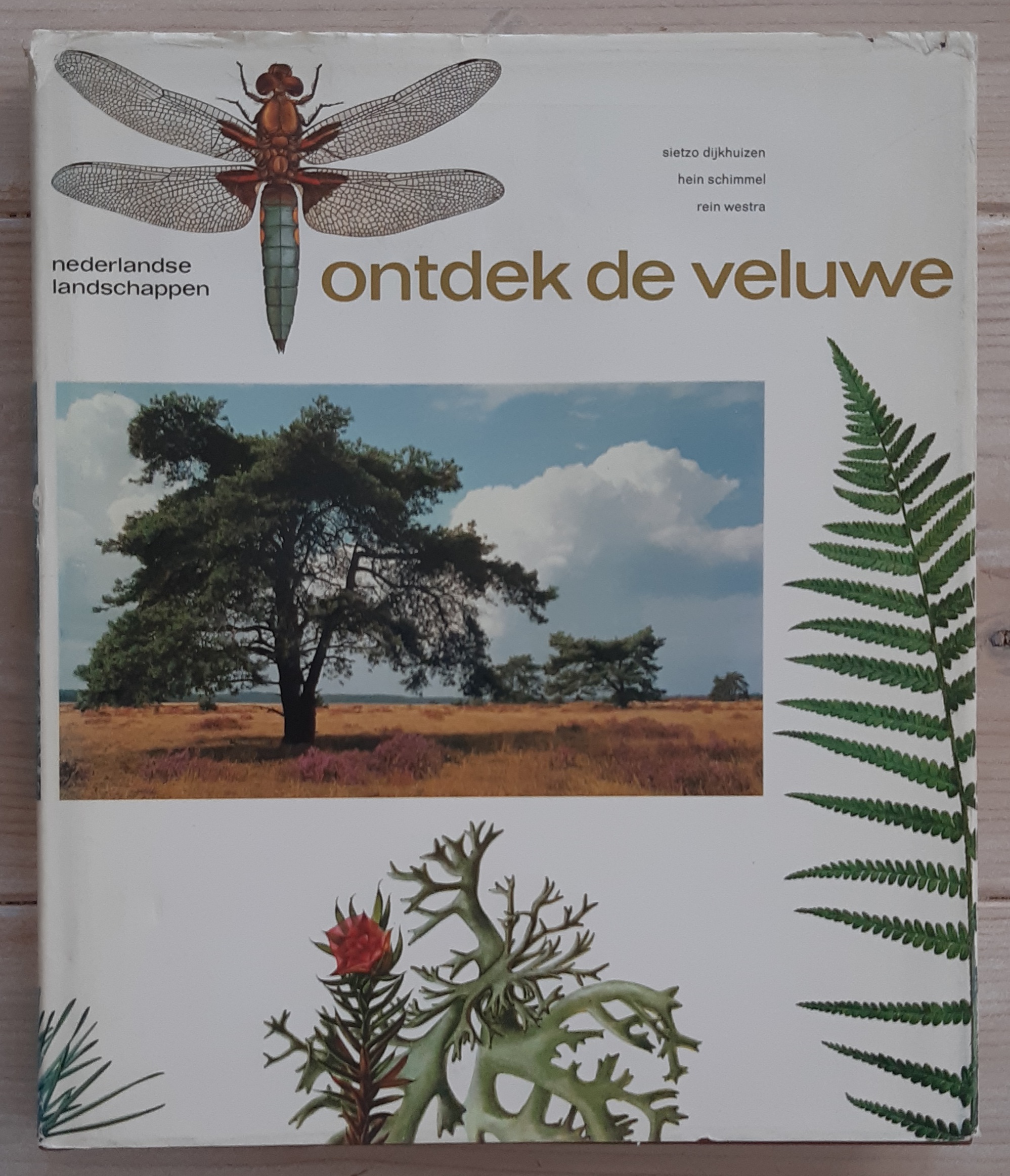 Ontdek de Veluwe