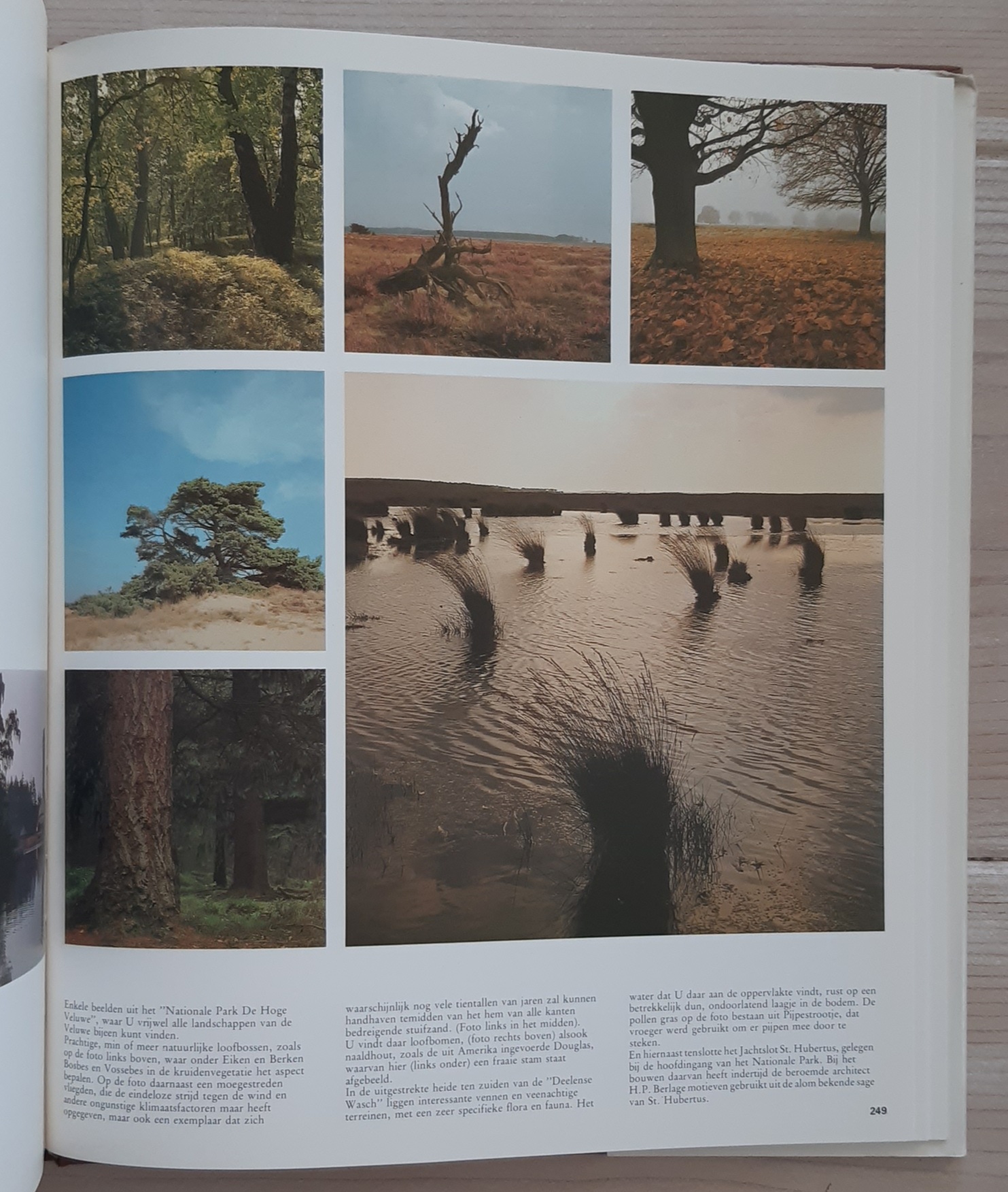 Ontdek de Veluwe - Afbeelding 9