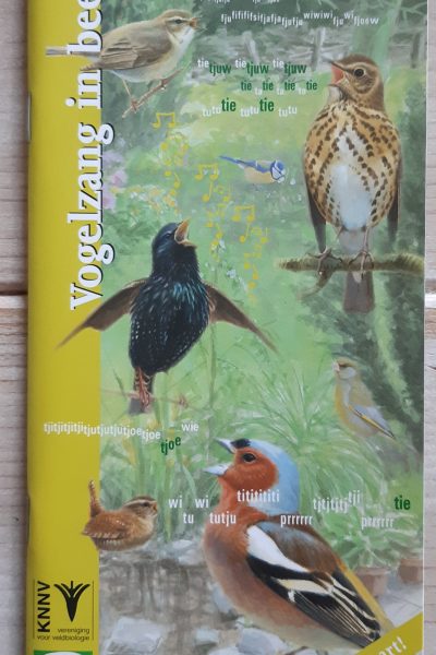 Vogelzang in beeld