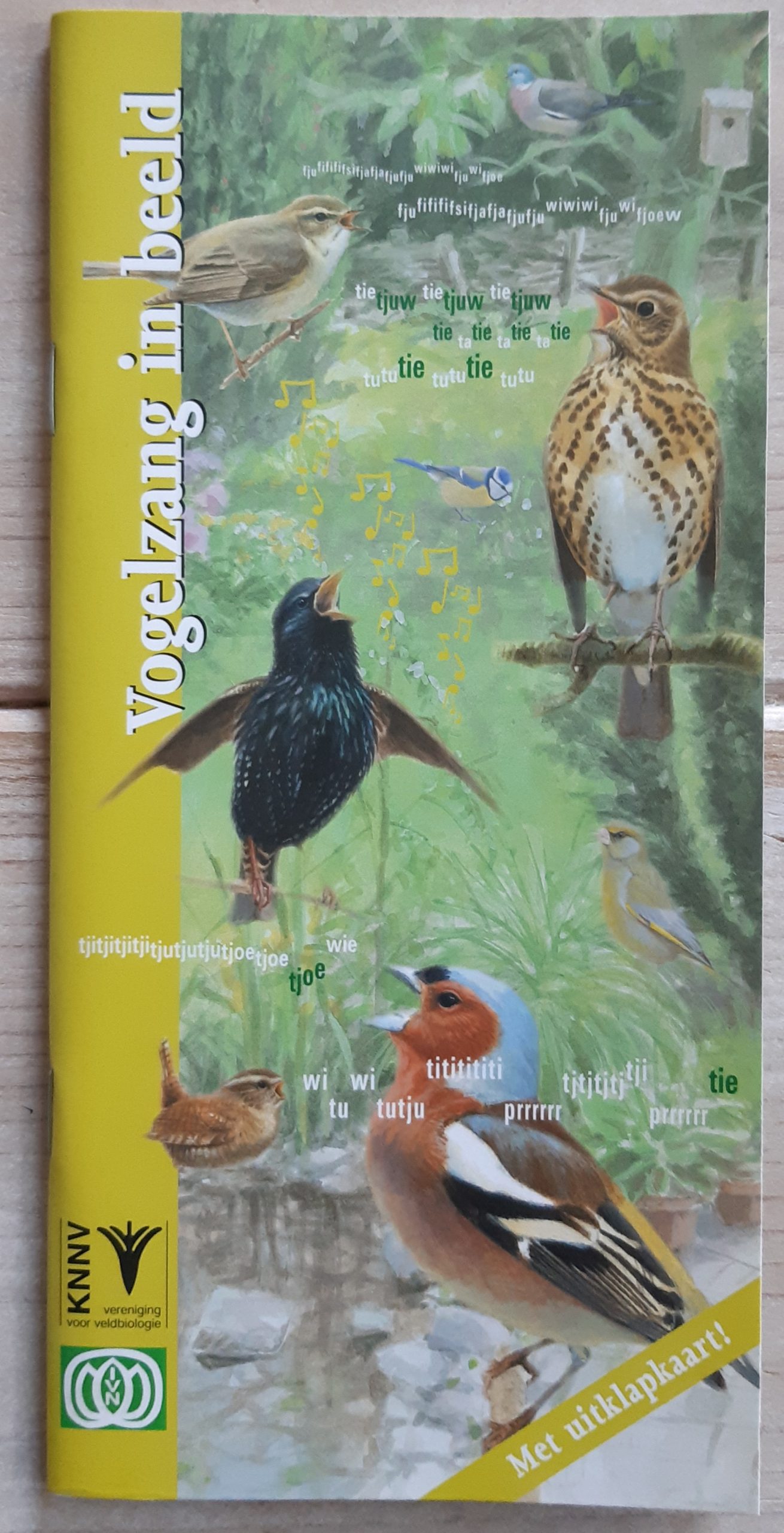 Vogelzang in beeld