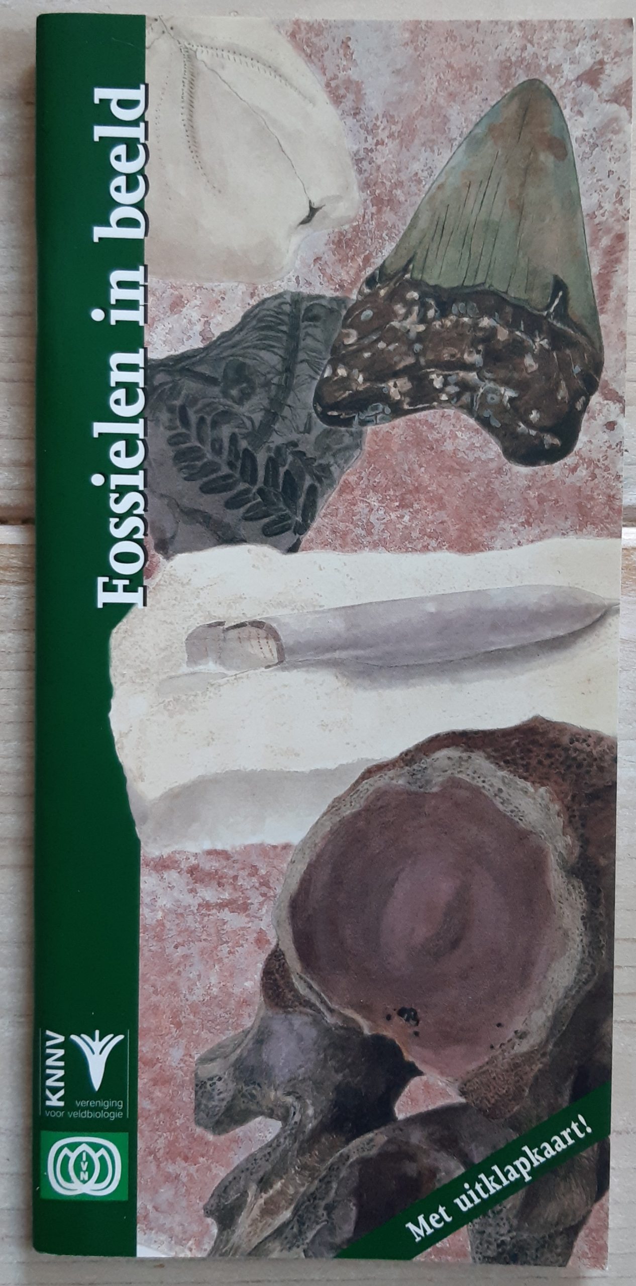 Fossielen in beeld