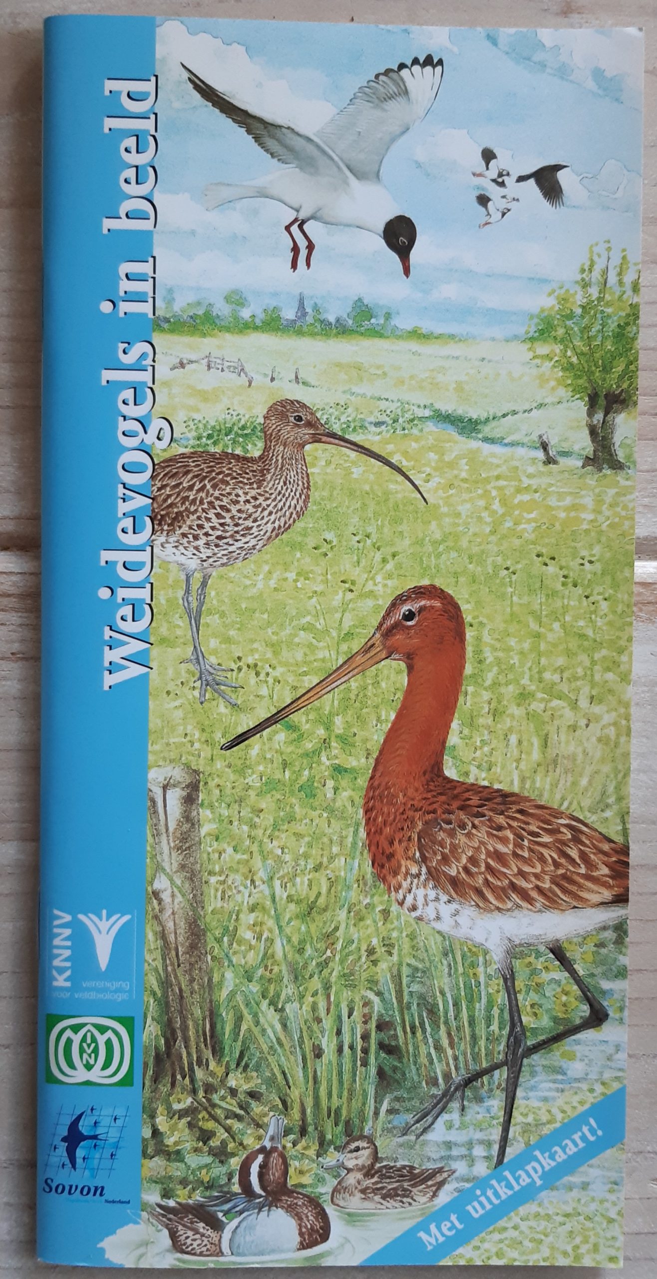 Weidevogels in beeld