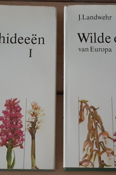 Wilde orchideeën van Europa