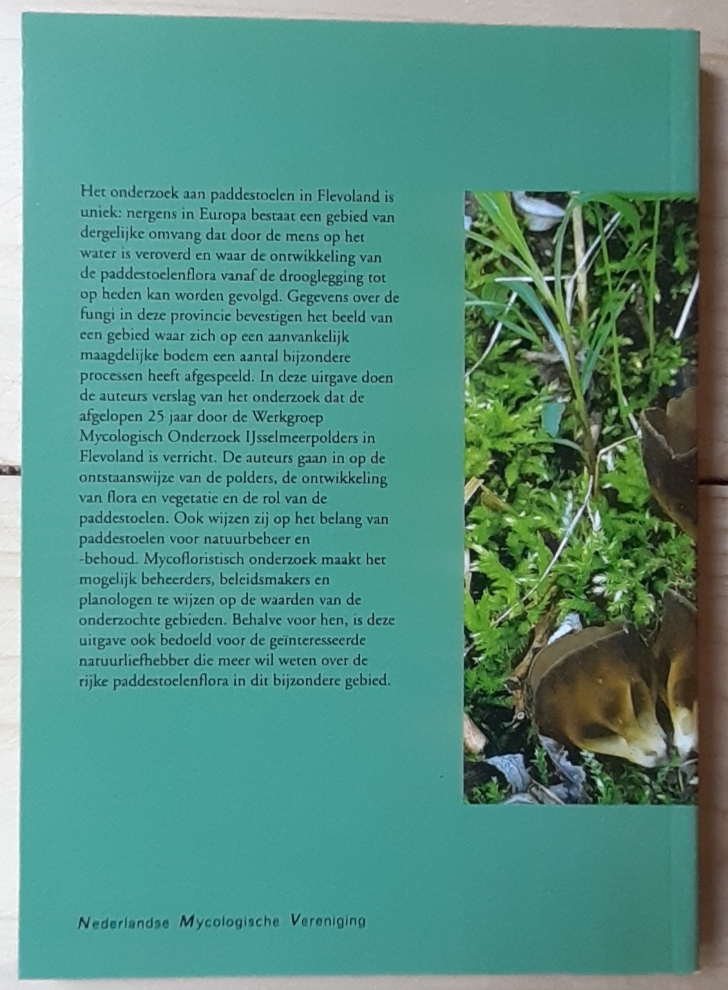 Paddestoelen in Flevoland - Afbeelding 4