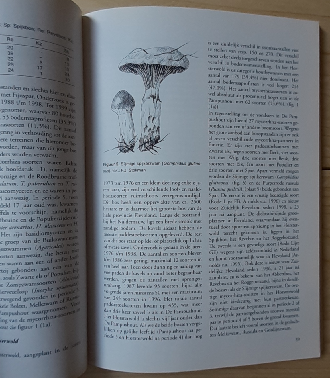 Paddestoelen in Flevoland - Afbeelding 2