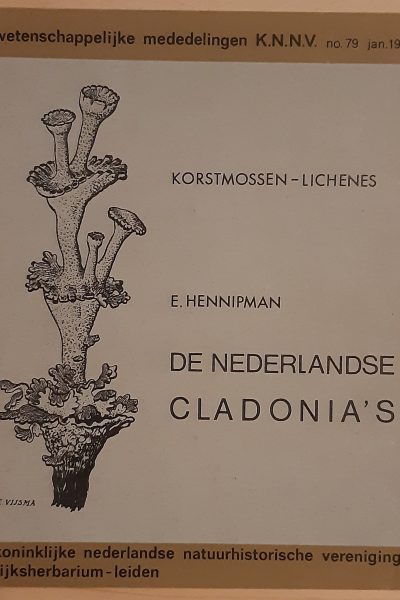 Korstmossen - lichens, de Nederlandse cladonia's - No. 79 - januari 1969