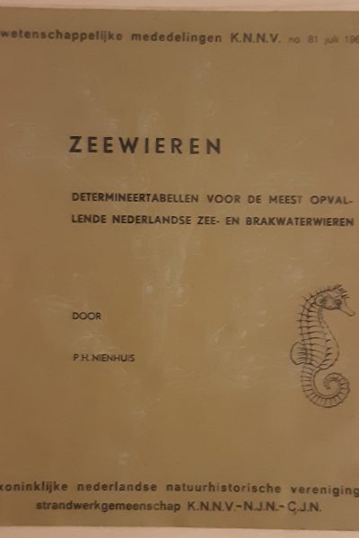 Zeewieren determineren voor de meest opvallende Nederlandse zee- en brakwaterwieren - No. 81 - juli 1969