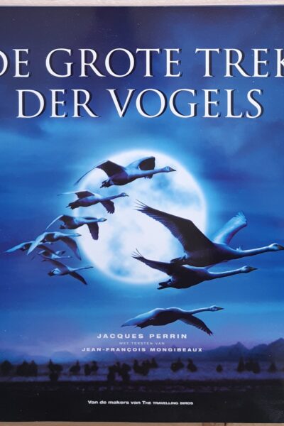 De grote trek der Vogels