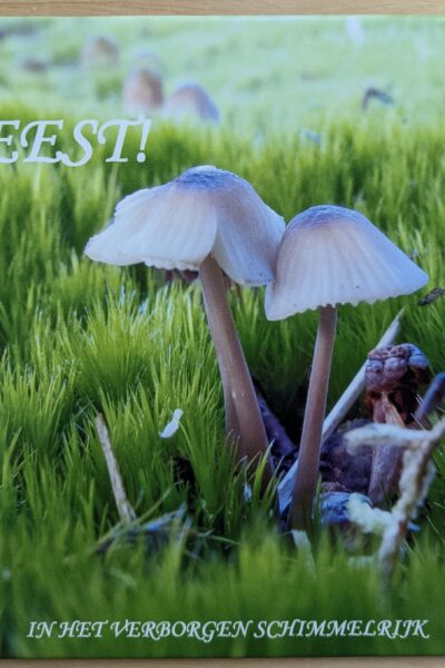 Feest in het verborgen schimmelrijk!