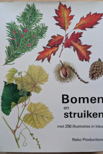 Bomen en struiken