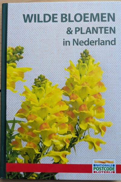 Wilde bloemen & planten in Nederland