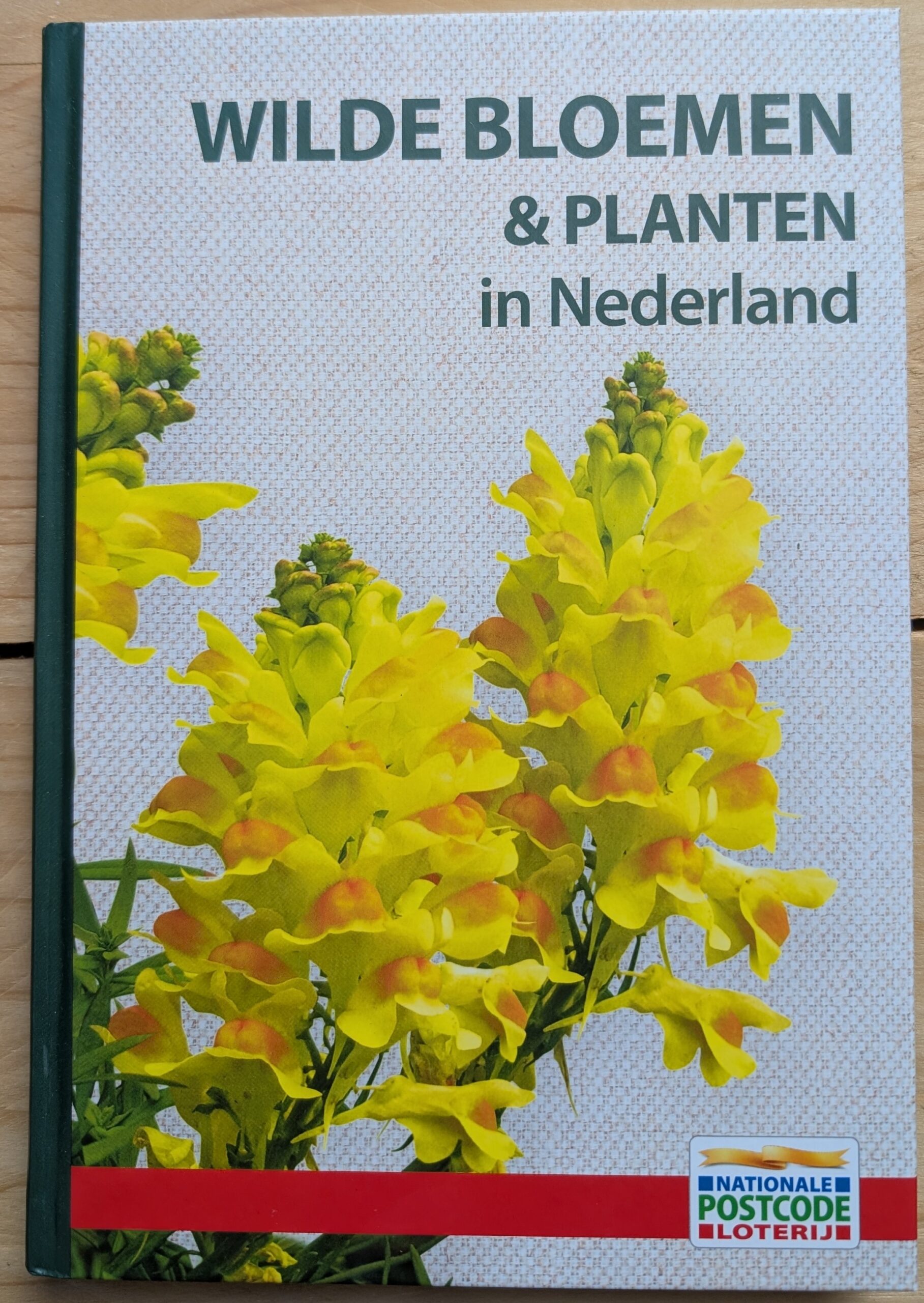 Wilde bloemen & planten in Nederland