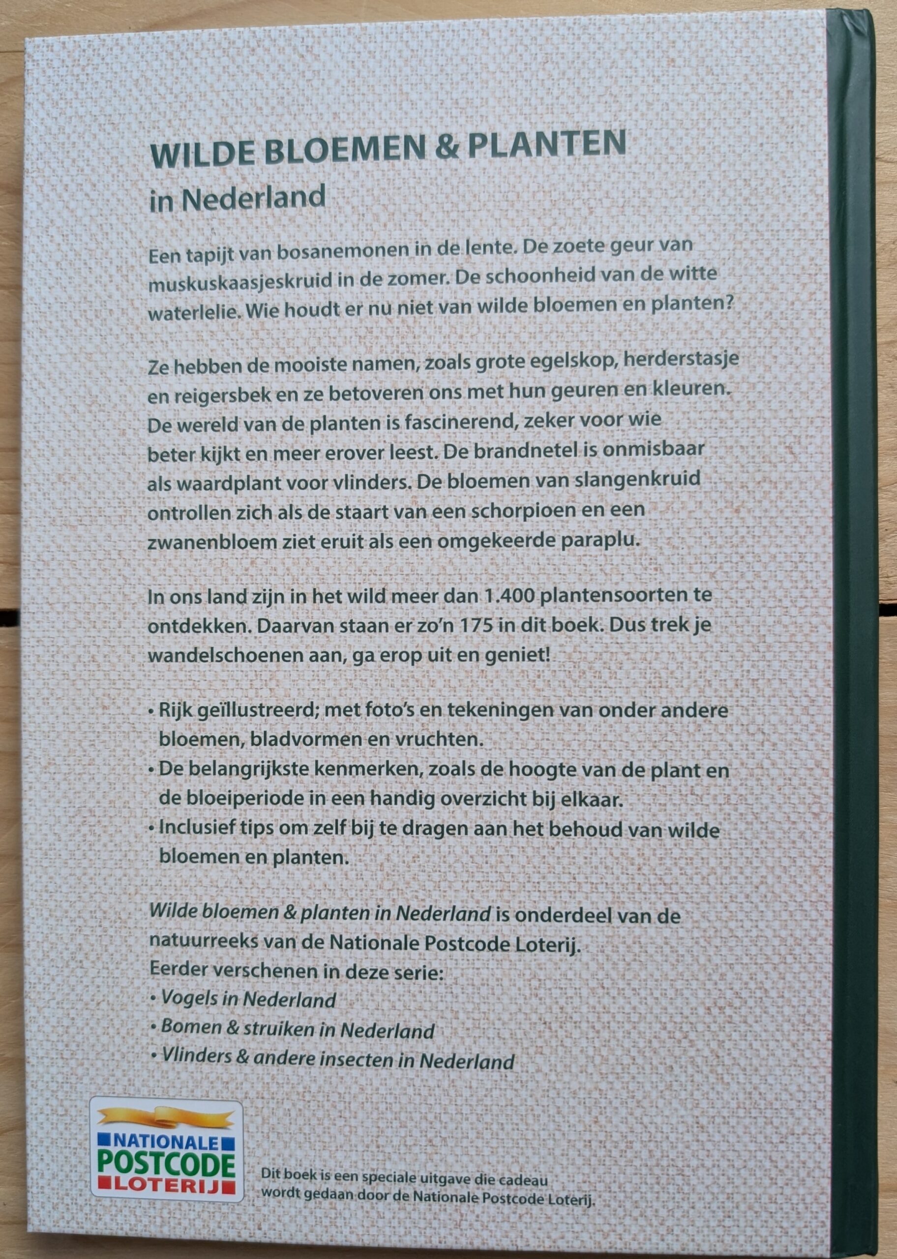 Wilde bloemen & planten in Nederland - Afbeelding 5