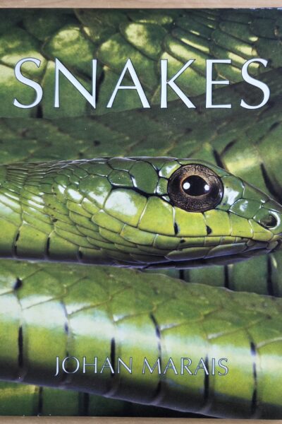 Snakes
