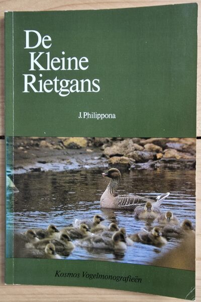 De kleine rietgans