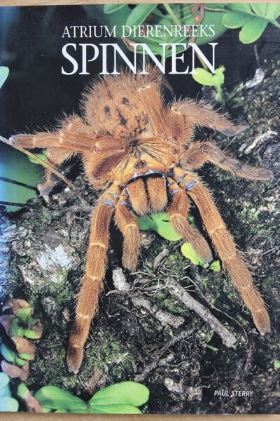 Atrium Dierenreeks Spinnen