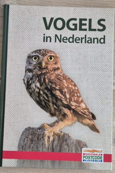 Vogels in Nederland