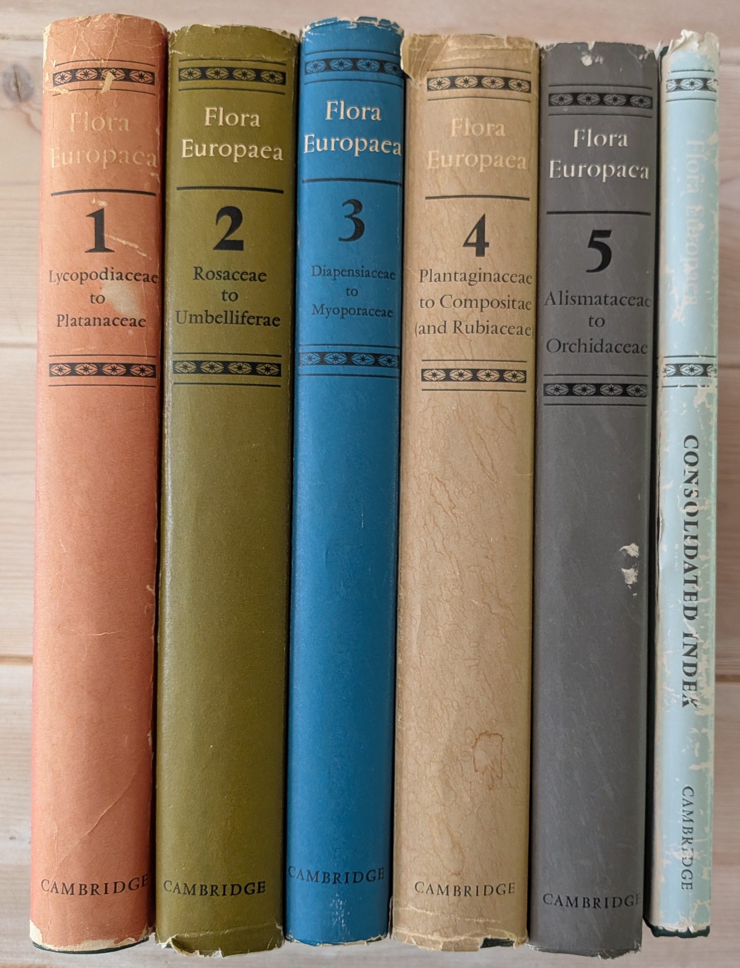 Flora Europaea - Afbeelding 2