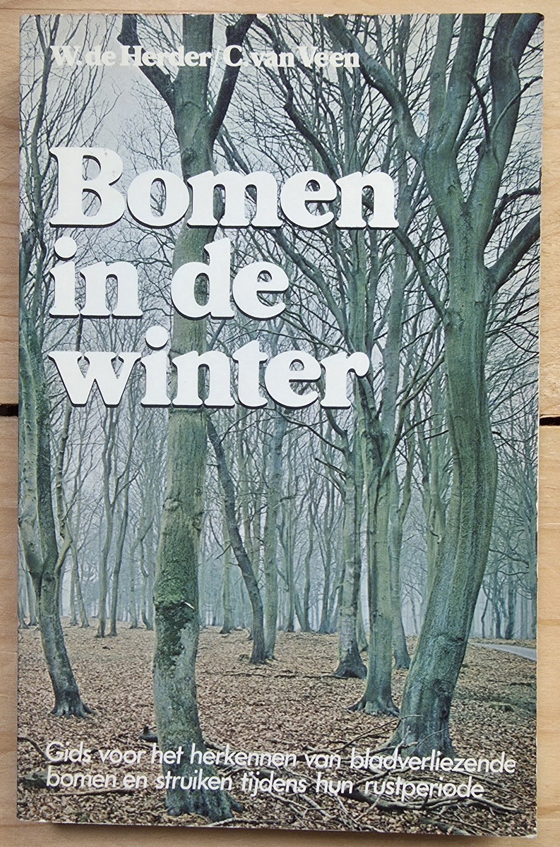 Bomen in de winter