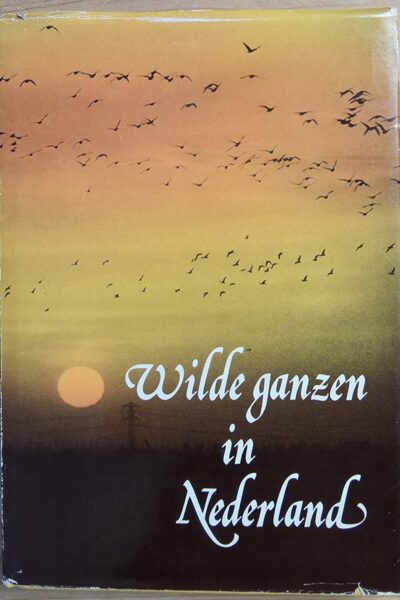 Wilde ganzen in Nederland