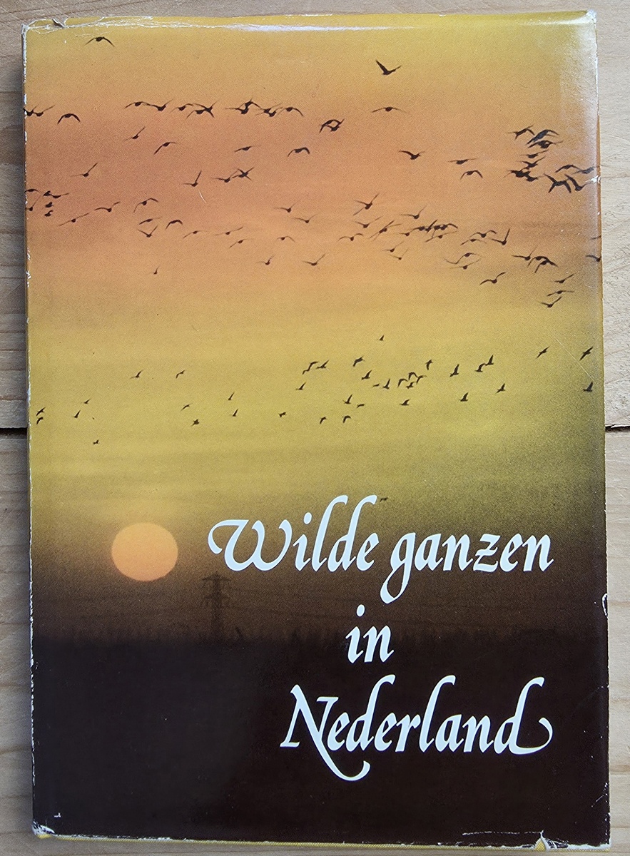 Wilde ganzen in Nederland